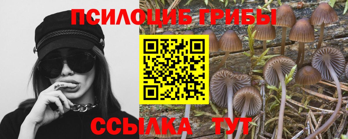 Псилоцибиновые грибы ЛСД Верхний Уфалей