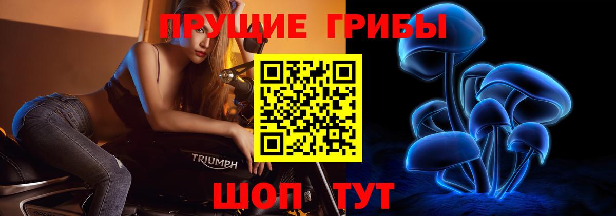 Галлюциногенные грибы Magic Shrooms  Вход с VPN  Верхний Уфалей  наркота  Псилоцибиновые грибы GOLDEN TEACHER 